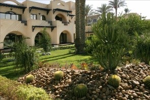 Oasis
