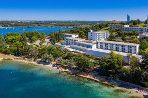 Plavi