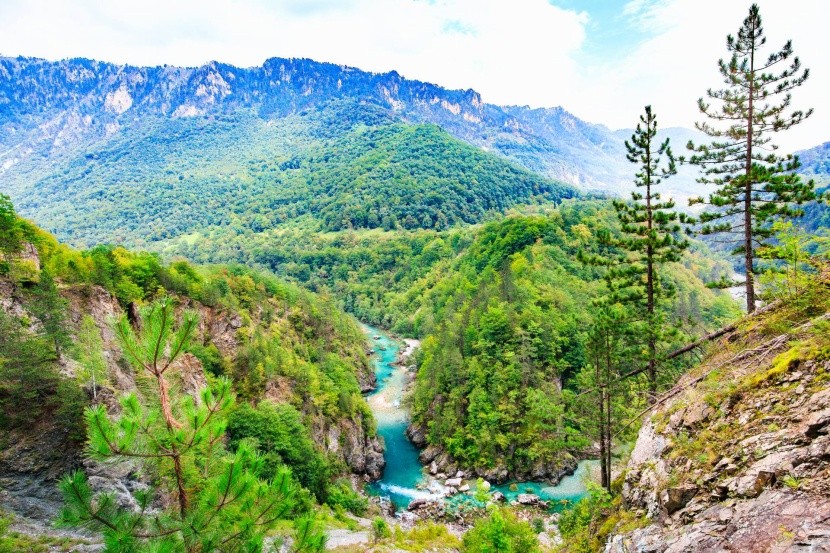 Durmitor Nemzeti Park hegycsúcs Tara folyó
