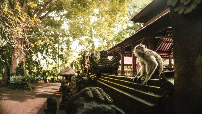A spirituális Ubud