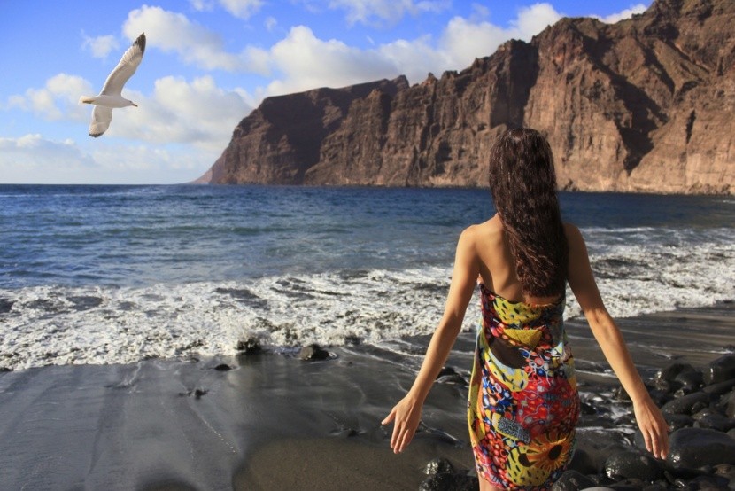Playa de los Gigantes