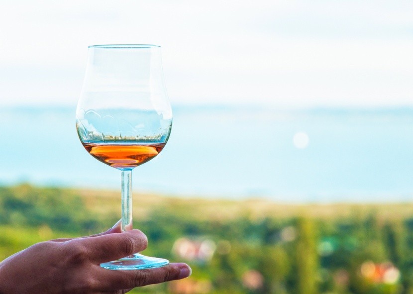 A borba rejtett Balaton